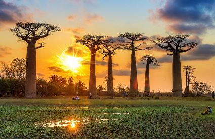 30 Years of Safari Excellence: A Conversation with Cedarberg Africa’s Co-founder Kate
