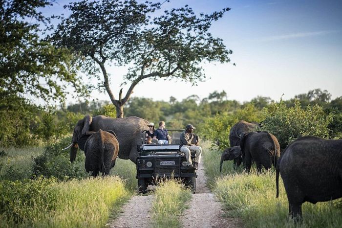 Cedarberg_Africa-simbavati-lodges-wildlife-700