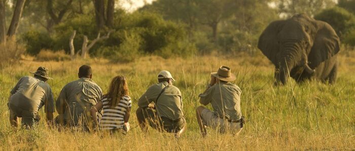 Cedarberg Travel | Ultimate Botswana Family Safari