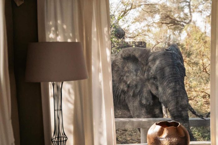 Cedarberg Travel | Simbavati River Lodge