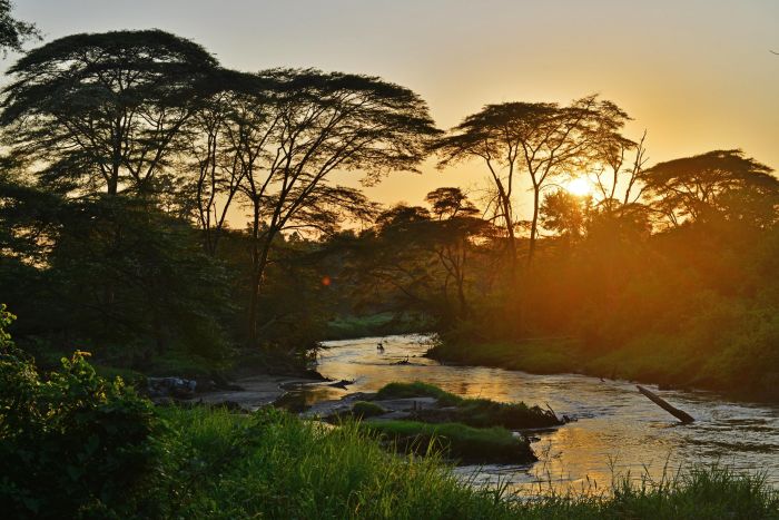 Cedarberg Travel | Ultimate Uganda Private Safari