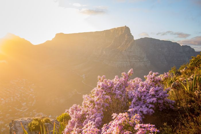 Where to stay in Cape Town - Table Mountain