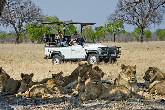 Safari in Hwange National Park