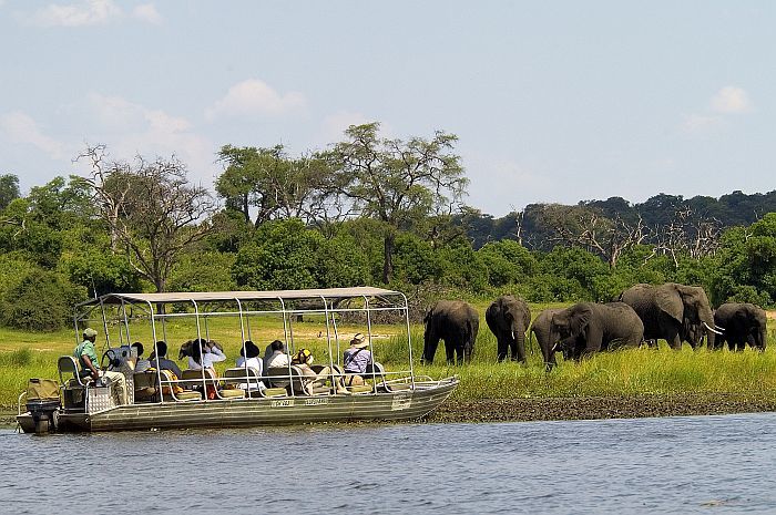Up close and personal game-viewing on the Chobe River