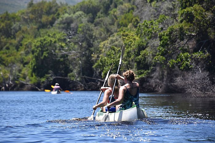 Kayaking in Goukamma lake