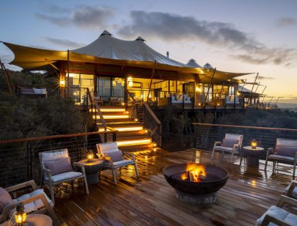 Sindile at Shamwari Private Game Reserve