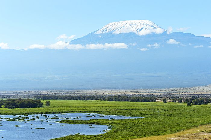 Mount Kilimanjaro as backdrop to a Amboseli safari
