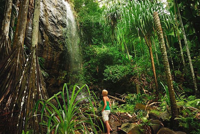 Waterfall in Valle de Mai, Praslin beach holidays & beach resorts