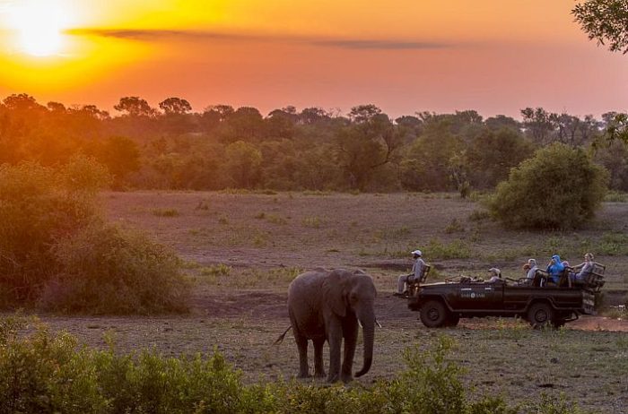 Safari in Sabi Sands Game Reserve at Sabi Sabi