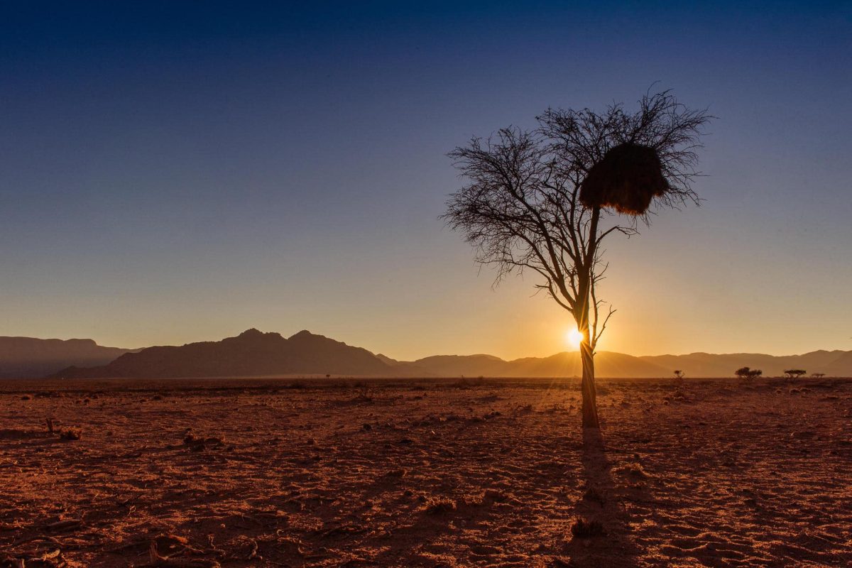 Namibia Family Safari ideas - Etosha