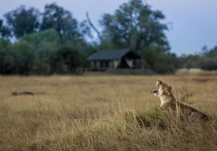 Cedarberg Travel | Machaba Camp
