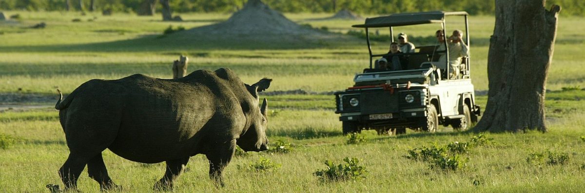 Spotting a Rhino on a game drive