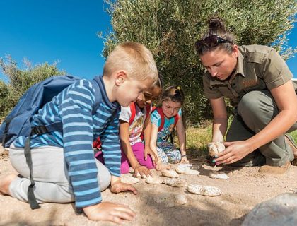 Family Safaris for young kids - Sanbona Gondwana