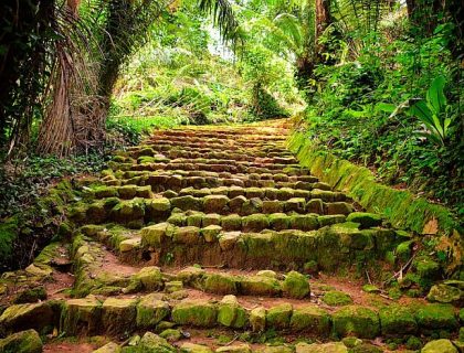 Entebbe botanical gardens