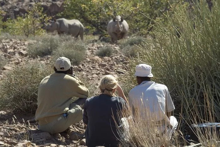 Adventure safaris - walking with rhino in Damaraland