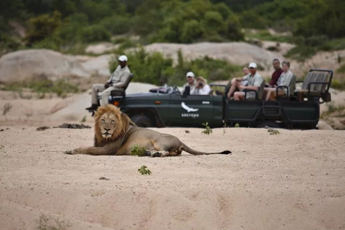 Affordable Africa safaris - greater Kruger