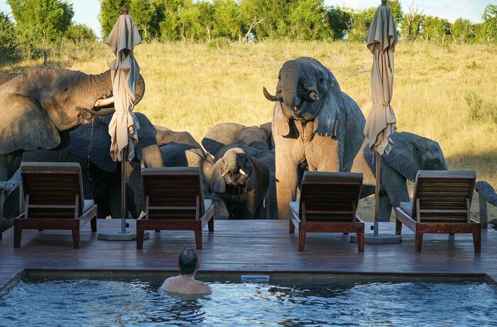 Cedarberg Travel | Somalisa Expeditions Camp
