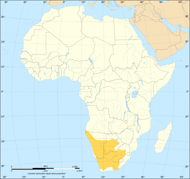 the geographical distribution of meerkats, courtesy of David1010, Wikimedia Commons