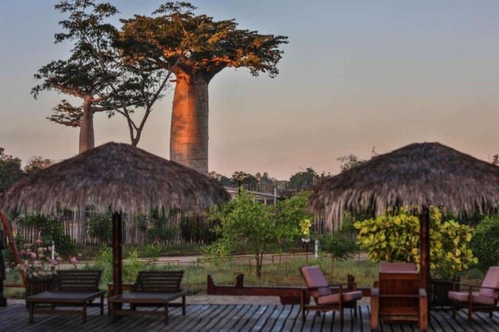 Cedarberg Travel | Relais du Kirindy