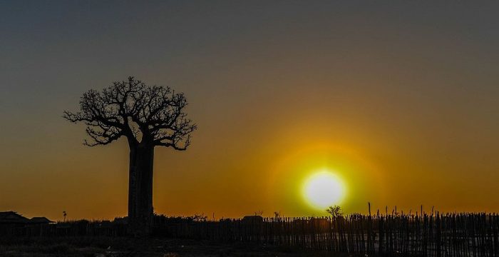 Cedarberg Travel | Relais du Kirindy