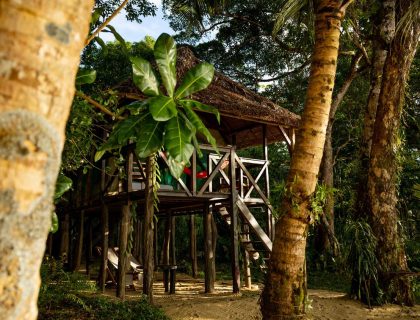 Masoala_forest_treehouse_exterior
