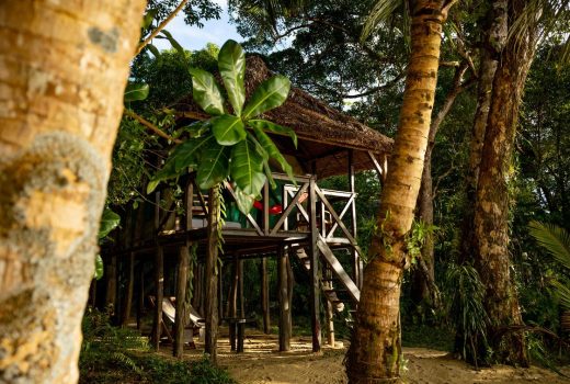 Masoala Forest Lodge