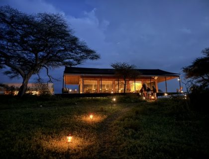Simbavati Migration Camp 04