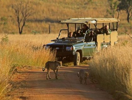 Adventurous Self-drive safari routes in South Africa & Namibia