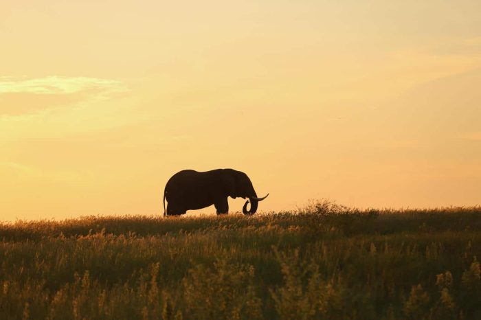 Cedarberg Travel | Fothergill Island