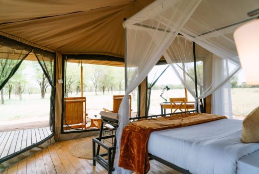 Intimate Camp Seronera