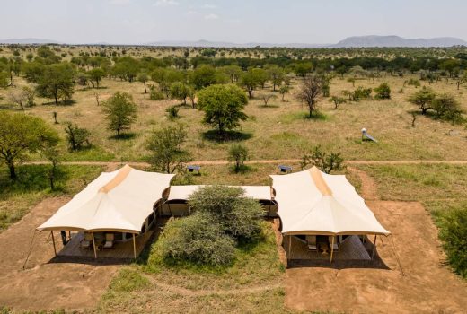 Intimate Camp Seronera