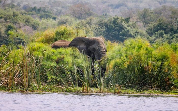 Cedarberg Travel | Twiga Safari Lodge