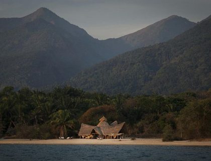 Greystoke Mahale setting, mahale chimpanzee trekking