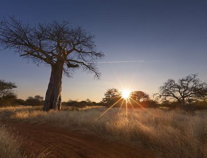 Adventurous Self-drive safari routes in South Africa & Namibia