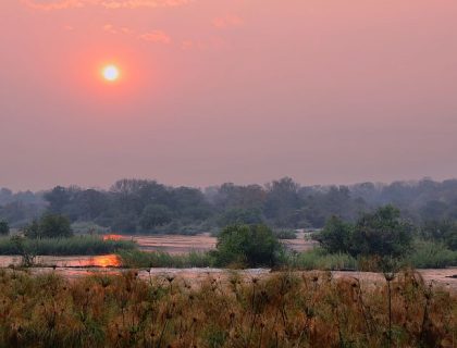 Tips on Wildlife Safari Photography – part 2