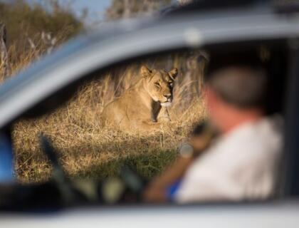 Easy self-drive tours in South Africa