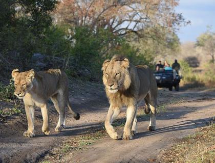 Adventurous Self-drive safari routes in South Africa & Namibia