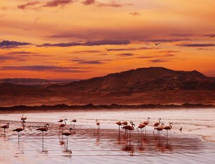 Tips on Wildlife Safari Photography – part 2