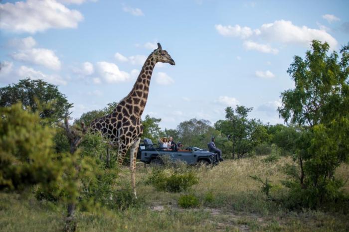 Cedarberg Travel | Silvan Safari