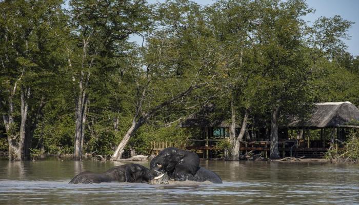Cedarberg Travel | Elephant Pan Camp