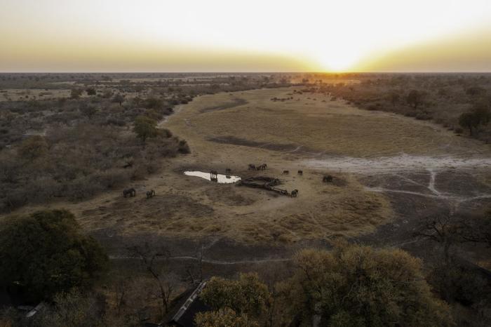 Cedarberg Travel | Savuti Camp