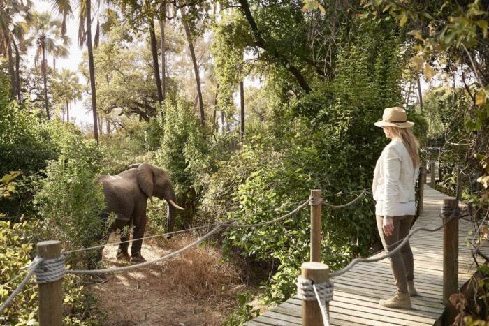 Cedarberg Travel | Victoria Falls River Lodge - Island Treehouse Suites