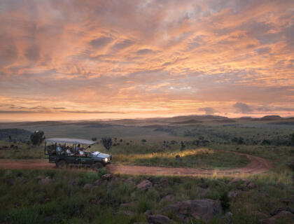 30 Years of Safari Excellence: A Conversation with Cedarberg Africa’s Co-founder Kate