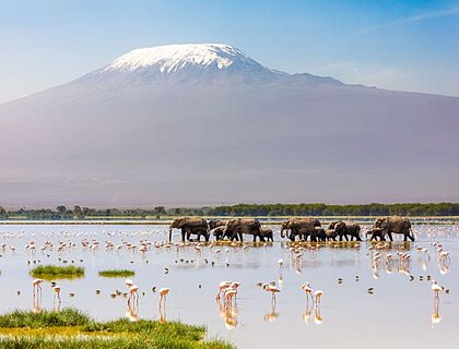 The cost of a safari in Kenya in 2025?