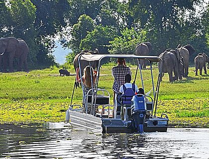 Murchison Falls river cruise safari in Murchison Falls National Park