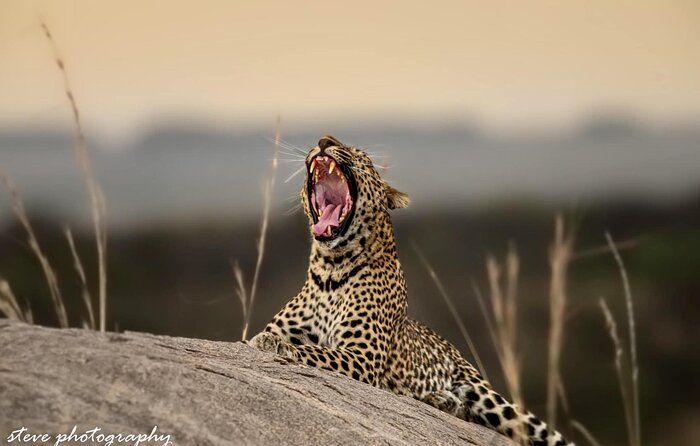 Cedarberg Travel | Lemala Osonjoi Lodge