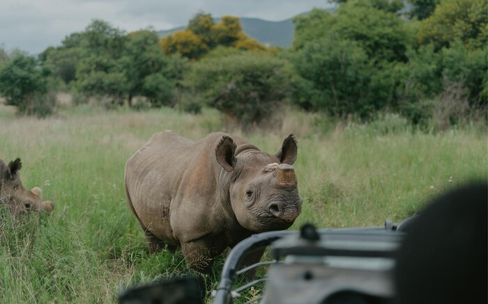 Cedarberg Travel | KwaZulu Natal Bush & Beach with GweGwe 10 nights