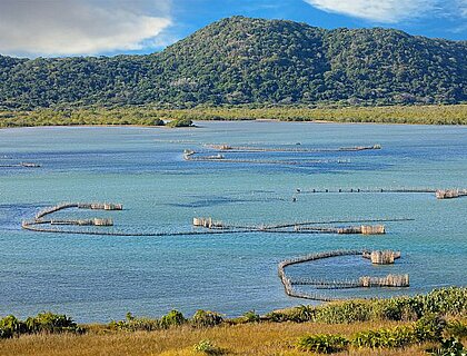 Kosi Bay fish traps seen on a Coastal Maputaland boat excursion
