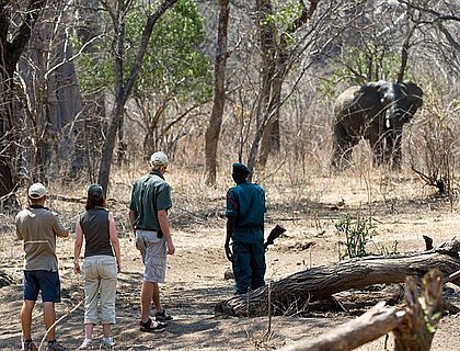 Bush walk in Majete Wildlife reserve