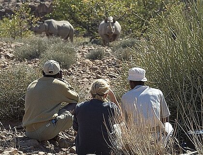 Damaraland - viewing black rhino